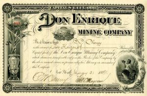 Don Enrique Mining Co. Issued to B.P. Cheney