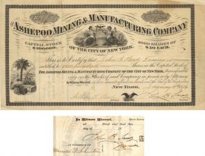 Ashepoo Mining  and Manufacturing Co. signed by John B. Sardy - Autographed Stock