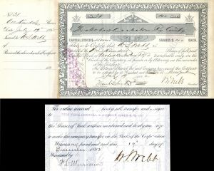 Mohawk and Malone Railway Co. signed by William Seward Webb - Autograph Stock Certificate