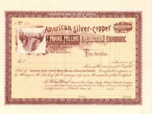 American Silver-Copper Mining, Milling and Reduction Co. - Montana Mining Stock Certificate