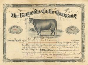 Raynolds Cattle Co. - Stock Certificate