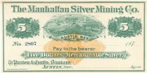 Manhattan Silver Mining Co. -  Checks