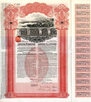 Genoa and District Water Works Co. Limited - £20 Bond