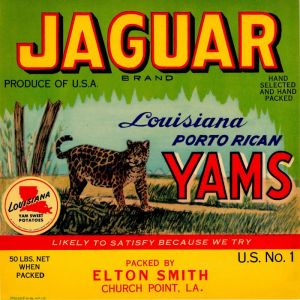 Jaguar- Fruit Crate Label