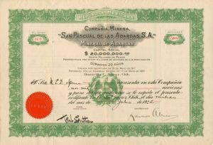 Compania Minera San Pascual De Las Adargas, S.A. - Mexico Mining Stock Certificate