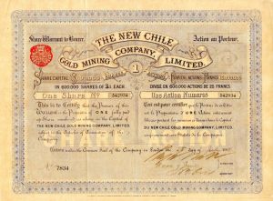 New Chile Gold Mining Co., Limited