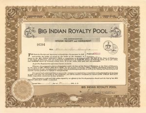 Big Indian Royalty Pool - Stock Certificate