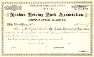 Nashua Driving Park Association - Stock Certificate