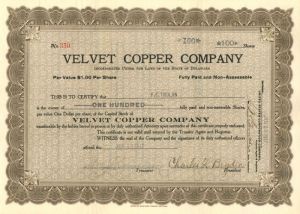 Velvet Copper Co. - Stock Certificate