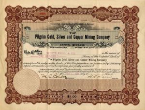 Pilgrim Gold, Silver and Copper Mining Co.