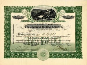 Mascota Mining Co. - Stock Certificate