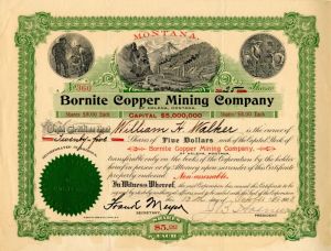 Bornite Copper Mining Co. - Stock Certificate
