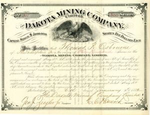 Dakota Mining Co. - Stock Certificate