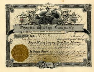 Fergus Mining Co. - Stock Certificate