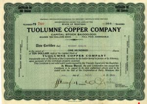 Tuolumne Copper Co. - 1924 dated Montana Mining Stock Certificate