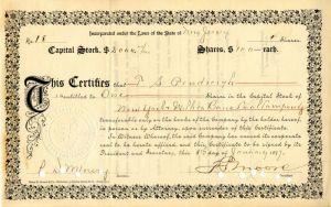 New York and Wilkes Barre Coal Co. - Stock Certificate