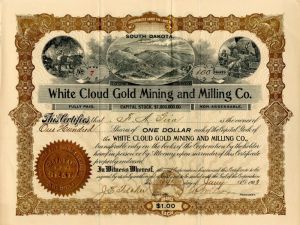 White Cloud Gold Mining and Milling Co. - Custer City South Dakota Stock Certificate