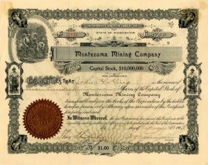 Montezuma Mining Co. - Stock Certificate
