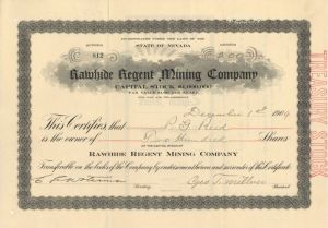 Rawhide Regent Mining Co. - Stock Certificate