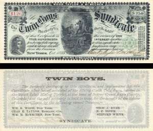 Twin Boys Syndicate - Stock Certificate