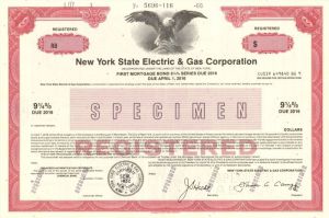 New York State Electric and Gas Corporation - Bond