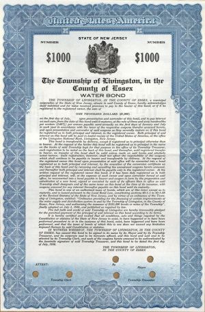 Township of Livingston, in the County of Essex - $1,000 Specimen Bond