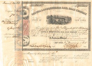 Cayuga & Susquehanna Railroad Company