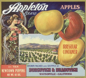 Fruit Crate Label "Appleton-Watsonville, CA"