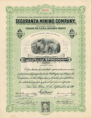 Seguranza Mining Co.