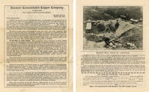 Nacozari Consolidated Copper Co. Stockholder Letter