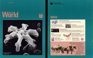 Chevron World Publication - 1986 dated Americana