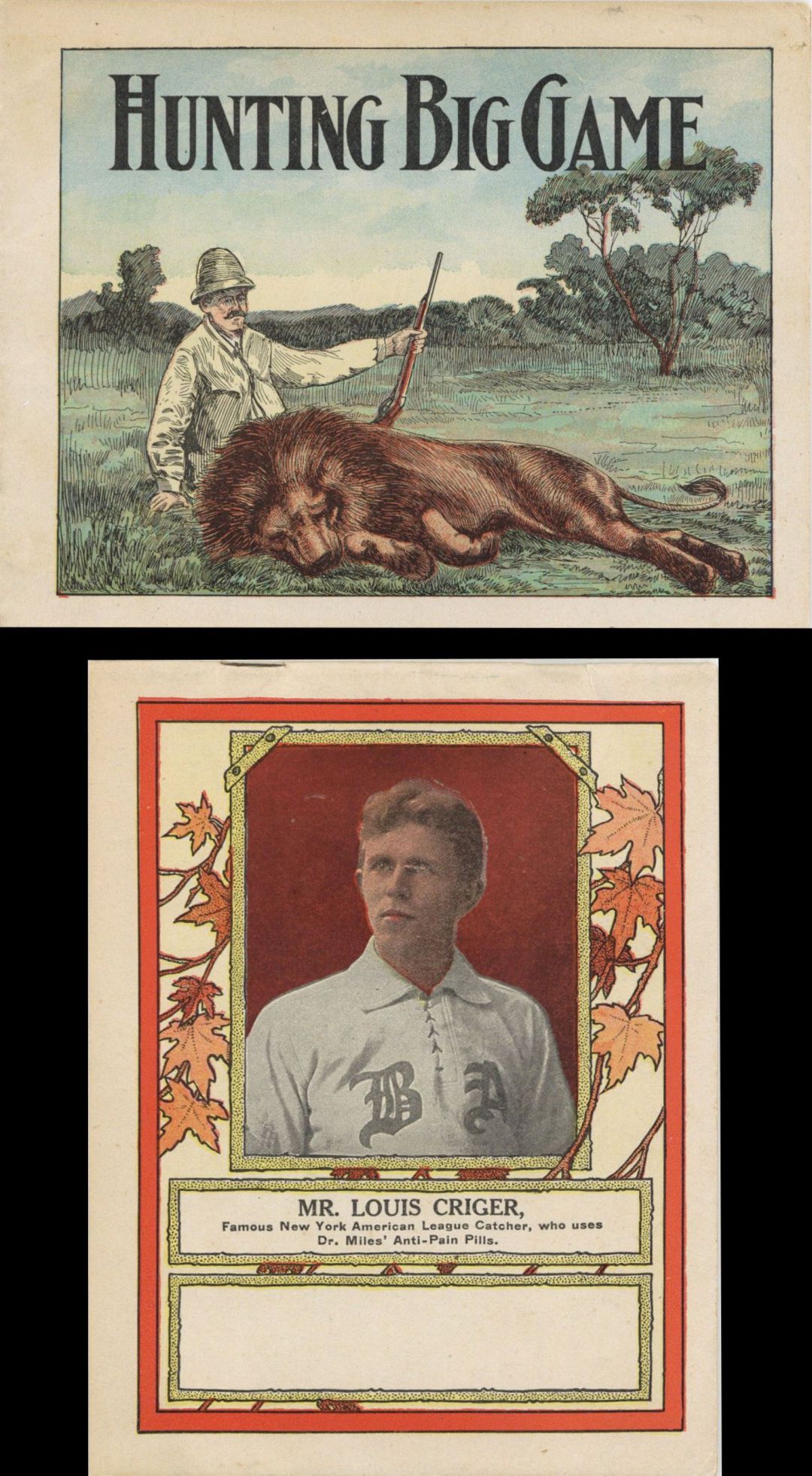 Hunting Big Game by Theodore Roosevelt - Americana