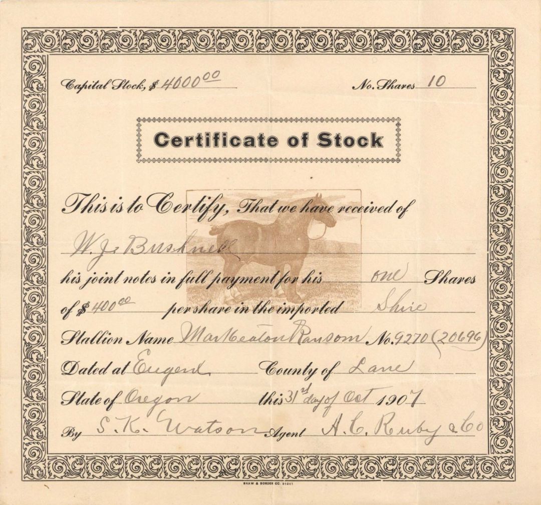 Shares Certificate in a Shire Stallion - 1907 dated Stock Certificate