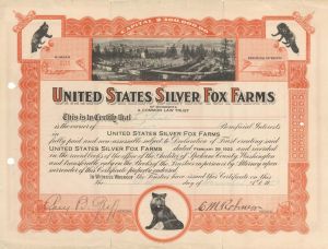 United States Silver Fox Farms - 1922 dated Stock Certificate