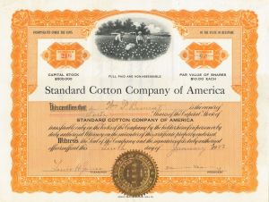 Standard Cotton Company of America. - Stock Certificate