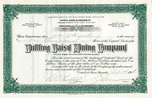 Bullfrog Daisy Mining Co - Stock Certificate (Uncanceled)