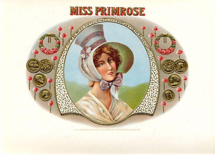 Miss Primrose - Cigar Box Label