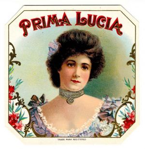 Prima Lucia - Cigar Box Label