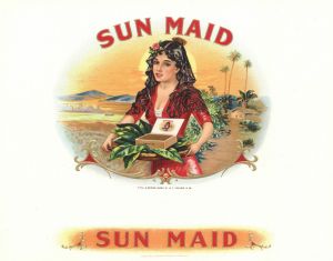Sun Maid - Cigar Box Label - <b>Not Actual Cigars</b>
