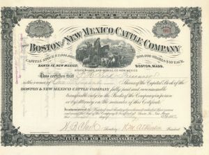 Boston and New Mexico Cattle Co. - Stock Certificate