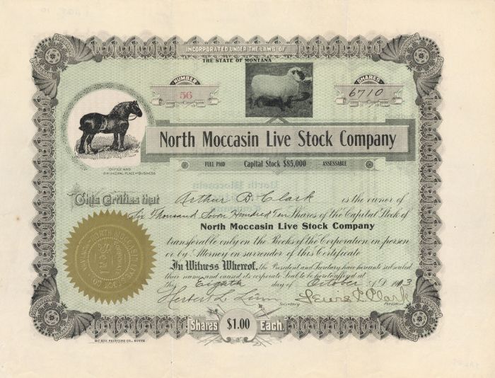 North Moccasin Live Stock Co. - Stock Certificate