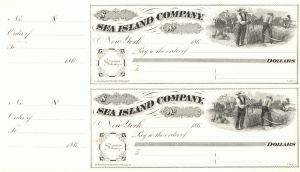 Sea Island Company - Cotton - Uncut Pair of Checks - Great History - South Carolina, Georgia, & Florida