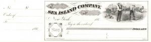 Sea Island Co. - Cotton - South Carolina, Georgia, & Florida Check - Great History!