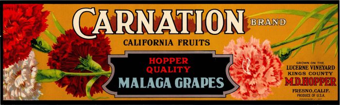 Carnation - Fruit Crate Label