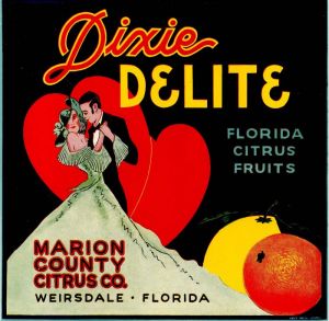 Dixie Delite - Fruit Crate Label