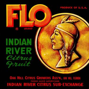 Flo Brand Indian River Citrus Fruits - Fruit Crate Label