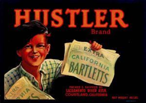 Hustler - Fruit Crate Label