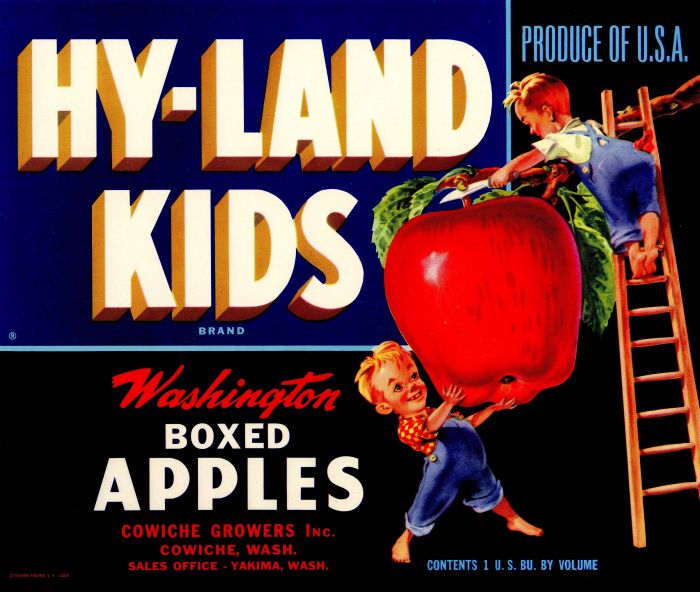 Hy-Land Kids - Fruit Crate Label