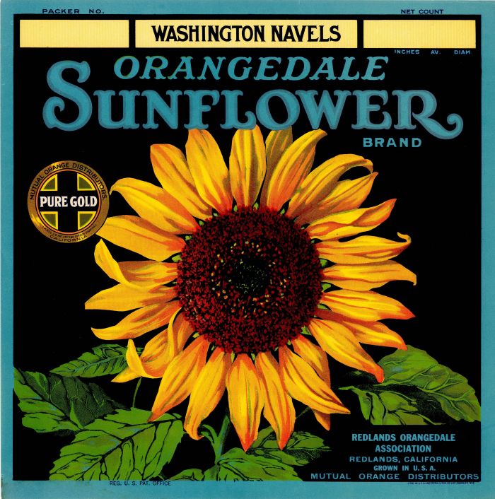 Orangedale Sunflower- Fruit Crate Label