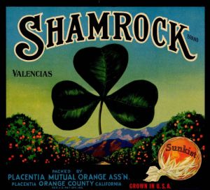 Shamrock - Fruit Crate Label